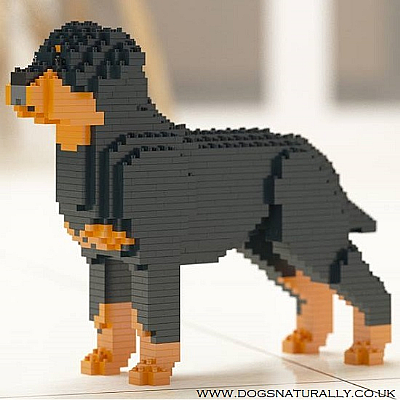 Rottweiler Jekca Available in 2 Sizes